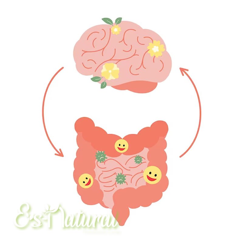 El Impacto De Las Bacterias En La Salud Mental Es Natural