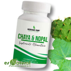 Chaya con Nopal